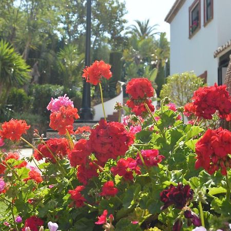 Puebla Agata Daire Marbella Dış mekan fotoğraf